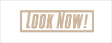 logo_looknow_1
